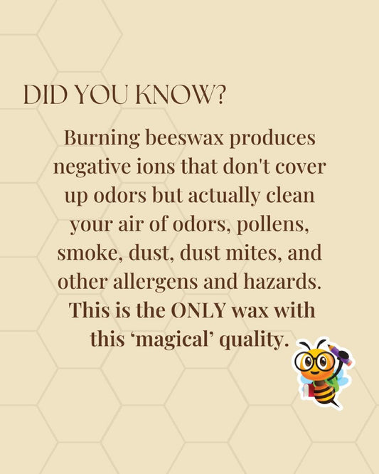 Beeswax Candle - At Home Collection - Annabel's Spellbook