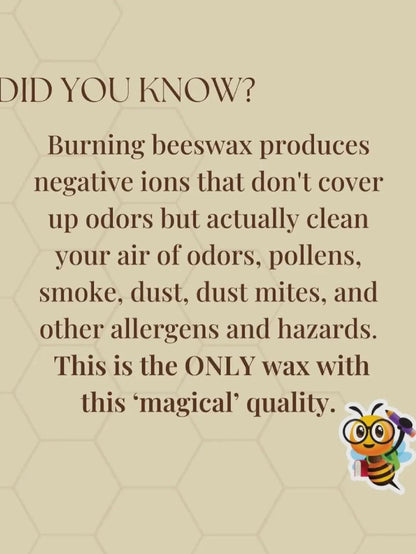 Christmas Candle Collection – Beeswax - Winterberry Wreath / 8 oz.