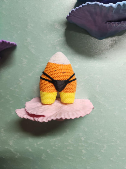 Montipora Capricornus Coral Shelf