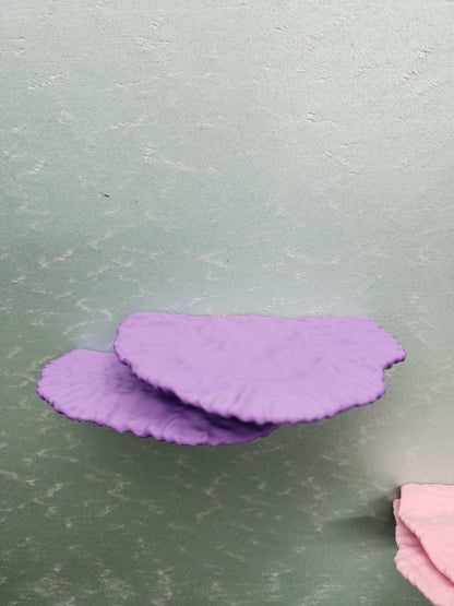 Montipora Capricornus Coral Shelf