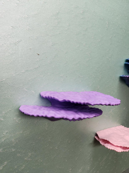 Montipora Capricornus Coral Shelf