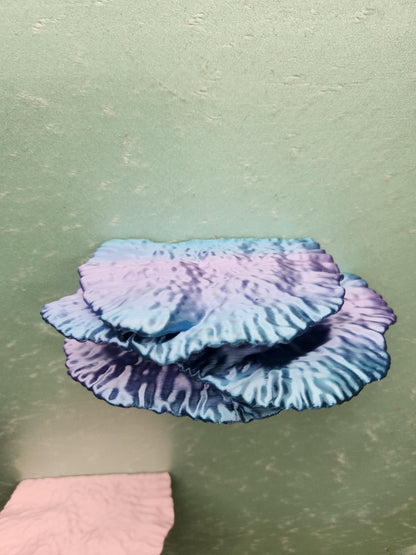 Montipora Capricornus Coral Shelf