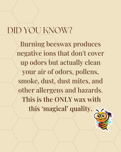 Beeswax Candle - At Home Collection - Moon Over Asbury