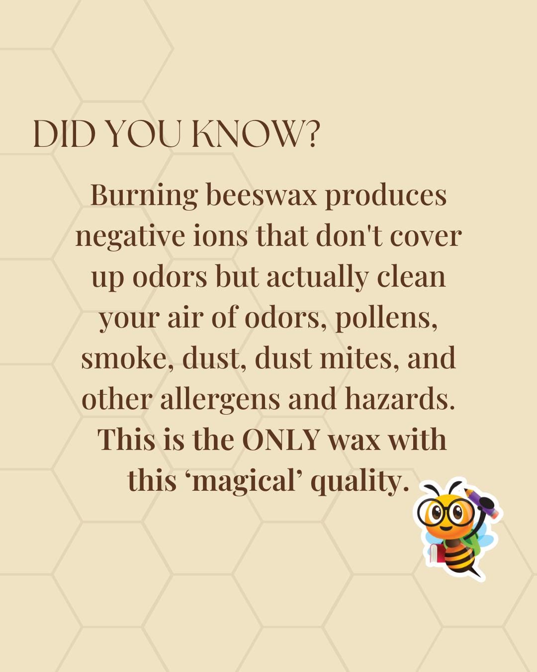 Beeswax Candle - At Home Collection - Kiwi's Fruit Stand