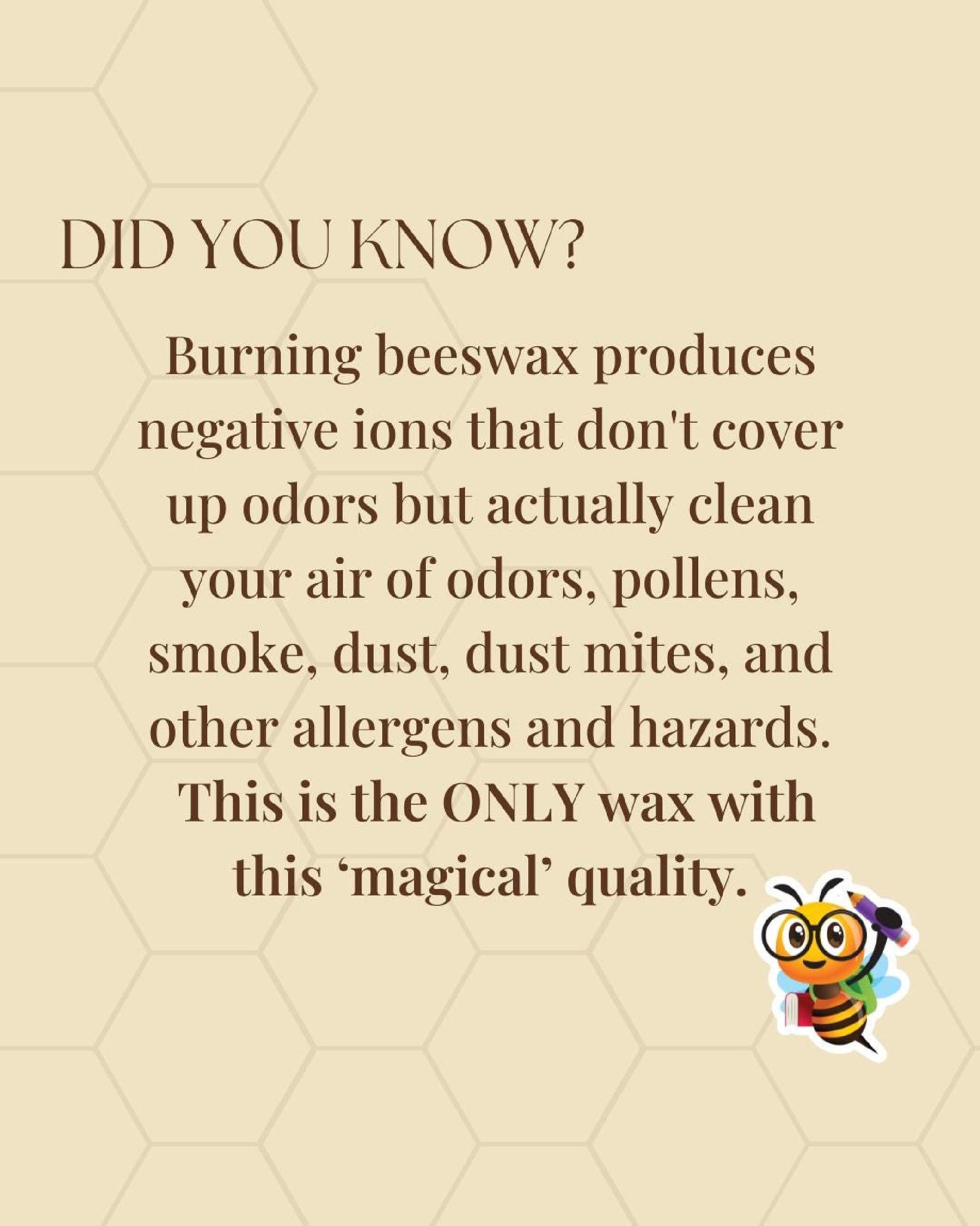 Beeswax Candle - At Home Collection - Annabel's Spellbook