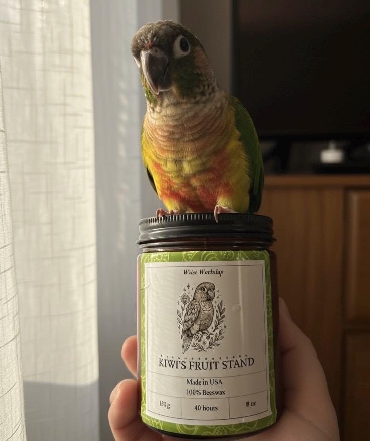 Beeswax Candle - At Home Collection - Kiwi's Fruit Stand