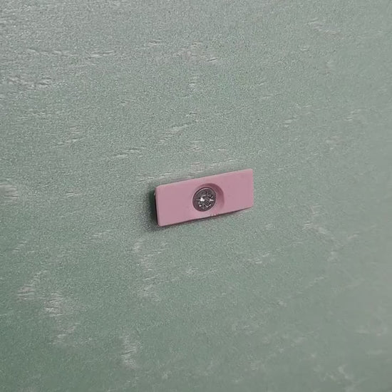 Montipora Capricornis Coral Display Shelf Set for Unique Home Decor and Organization