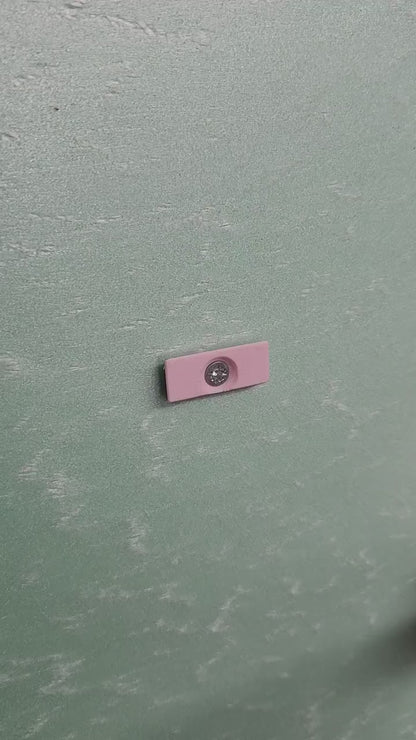 Montipora Capricornis Coral Display Shelf Set for Unique Home Decor and Organization