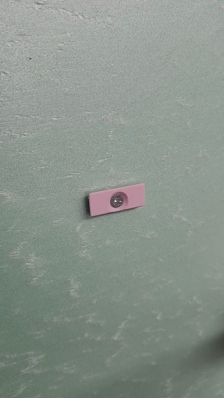 Montipora Capricornis Coral Display Shelf Set for Unique Home Decor and Organization