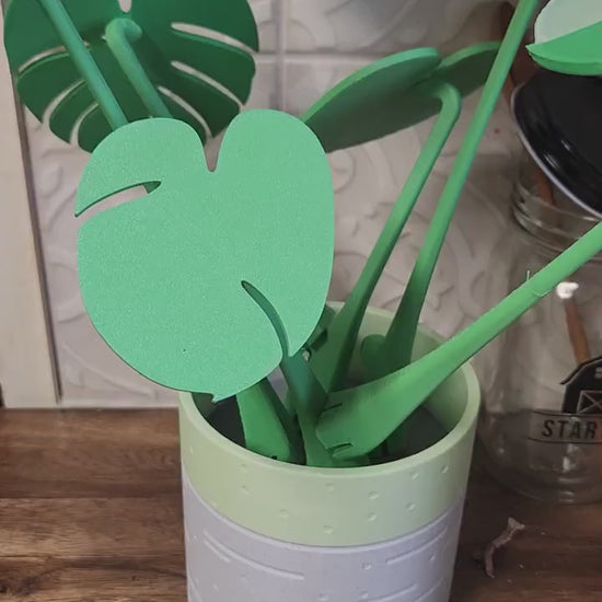 Monstera Plant coaster set fake plant