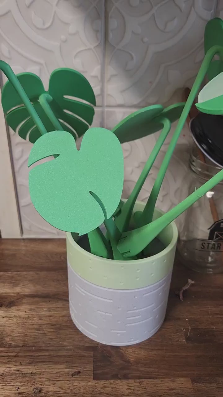 Monstera Plant coaster set fake plant