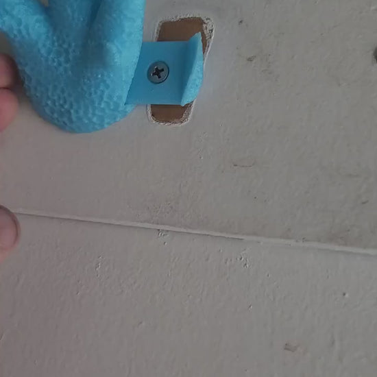 Echinata Coral Coat Hook: Beach Decor with French Cleat Mount